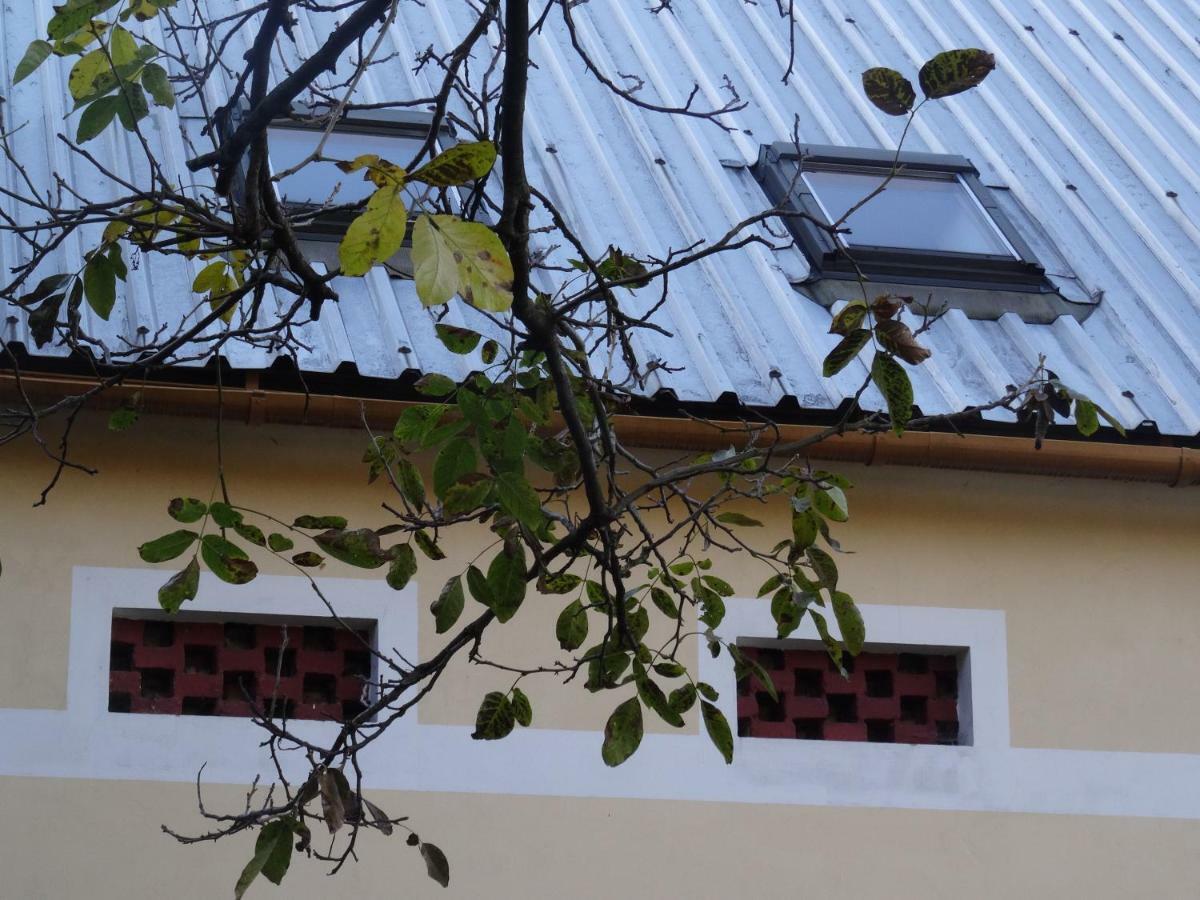U Nas - Apartman Zajic Vapenna Dış mekan fotoğraf