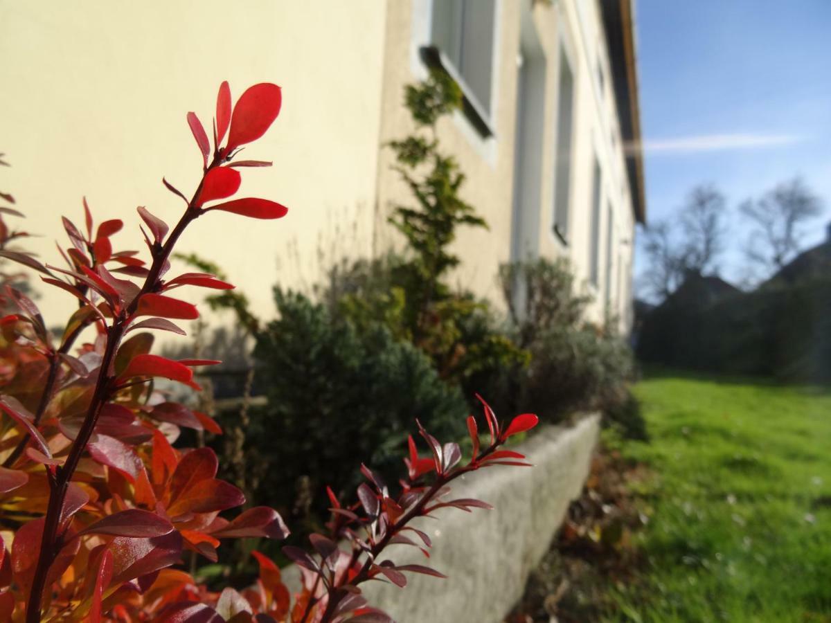 U Nas - Apartman Zajic Vapenna Dış mekan fotoğraf